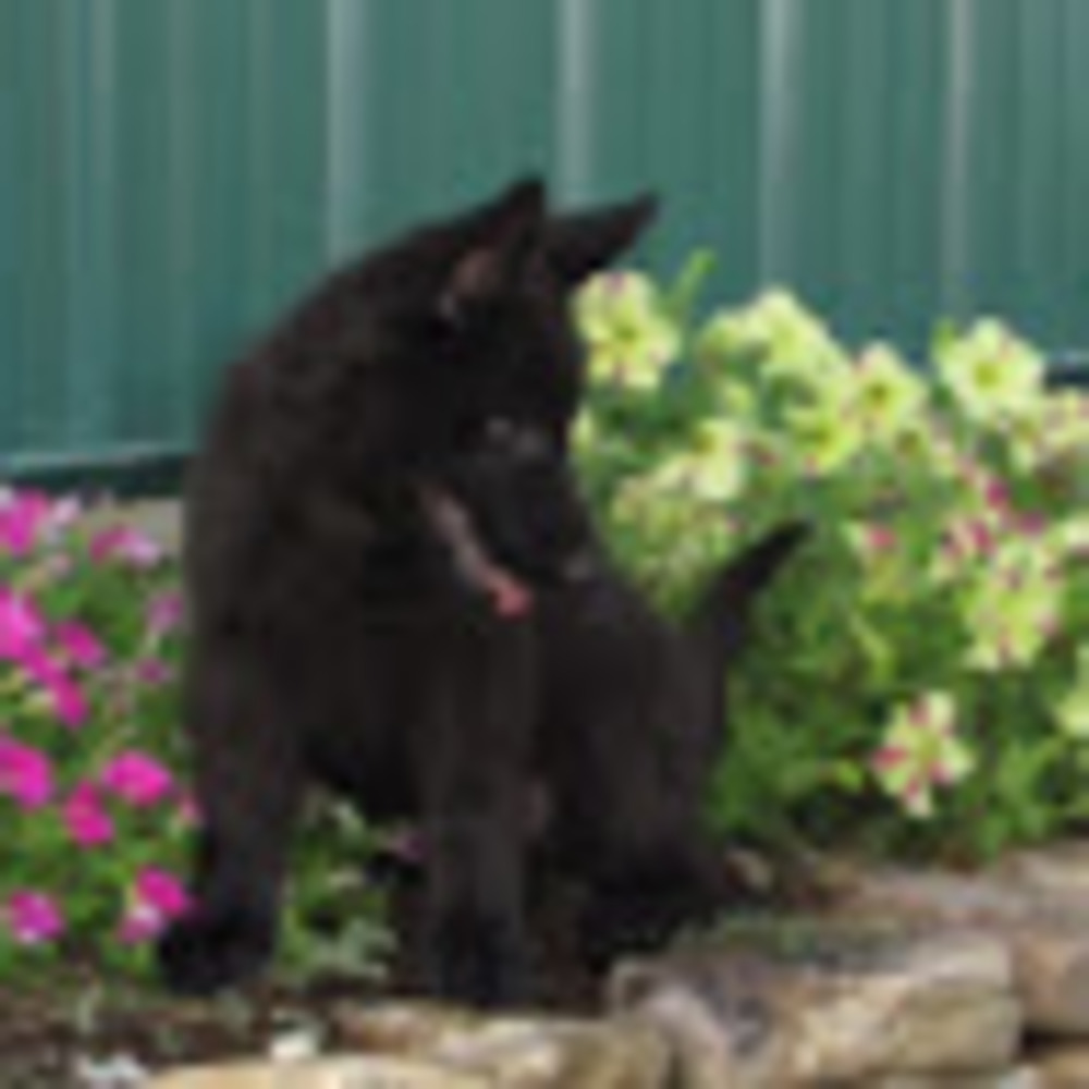 Meet your Posher, Karen